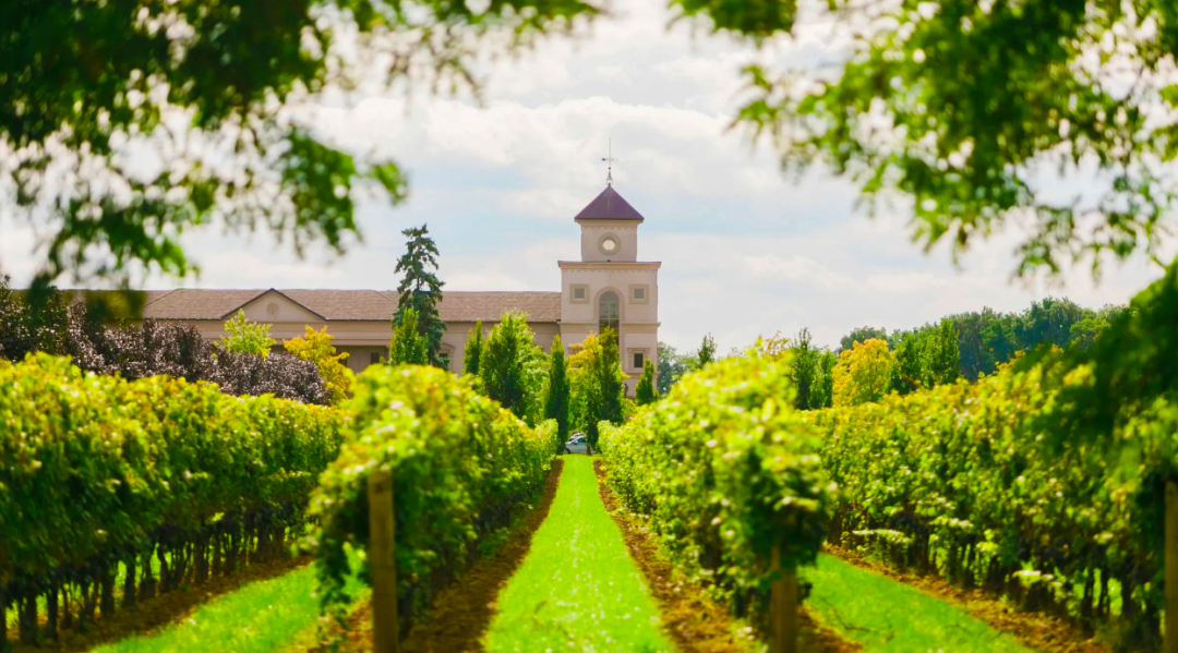 640-20260212-103136-698e1c883d182