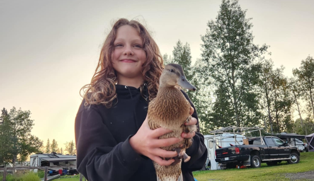 640-20260212-165955-698e778b4ed3e