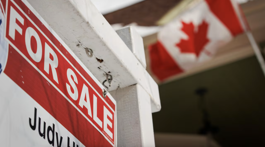 640-20260217-135606-6994e3f6727f8 640-20260217-135606-6994e3f6727f8