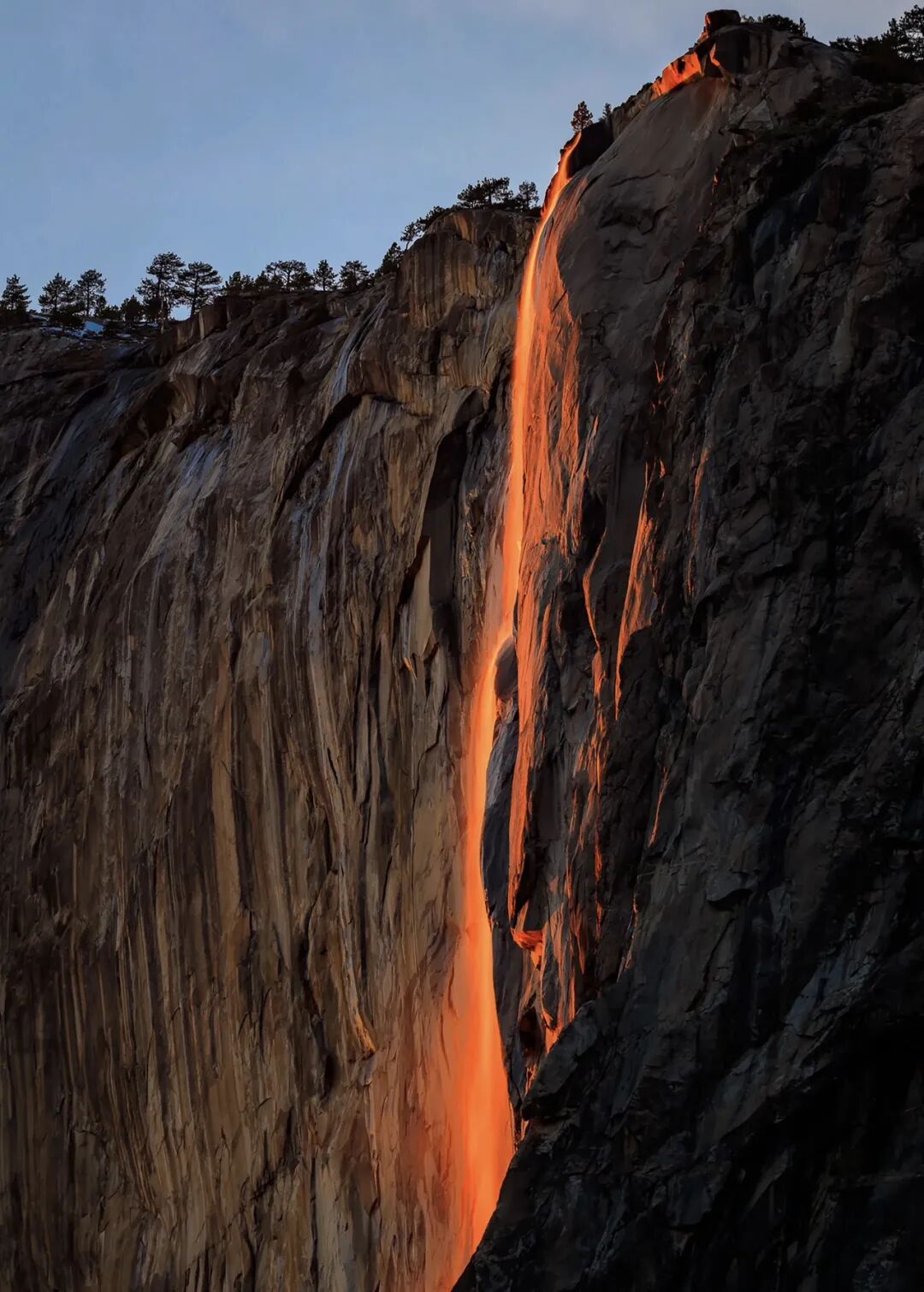 640-20260218-100305-6995fed91c255