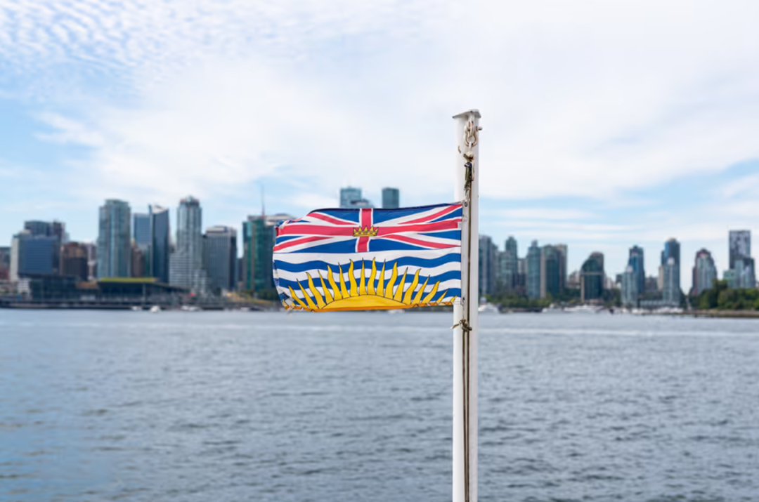 640-20260218-140501-6996378d858c8