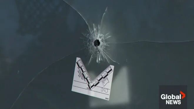 640-20260219-105643-69975ceb710cd