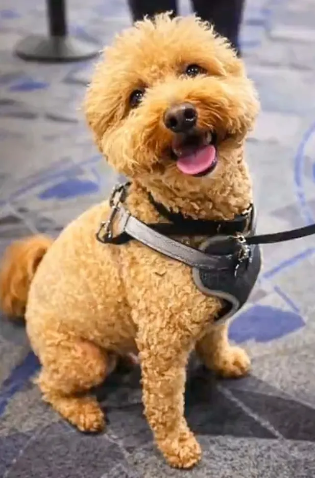 640-20260220-145645-6998e6ad6b760