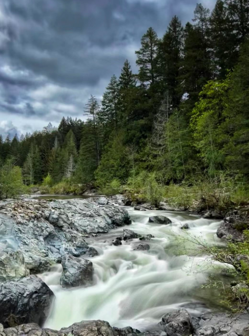 640-20260223-103131-699c9d0352aed