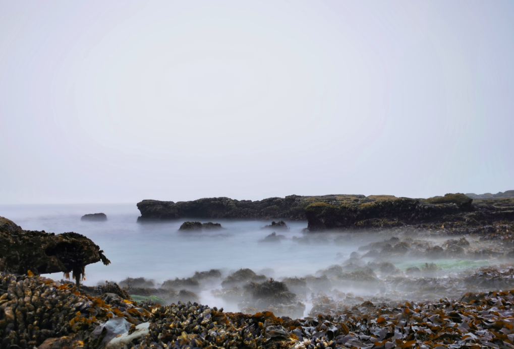 640-20260223-103134-699c9d068f4ac