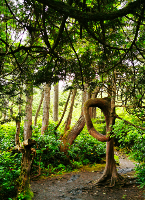 640-20260223-103137-699c9d09b3561