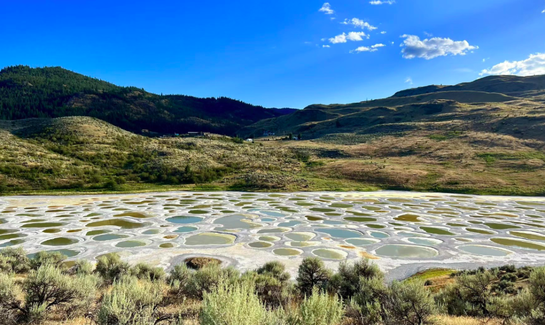 640-20260223-103146-699c9d12a1c61