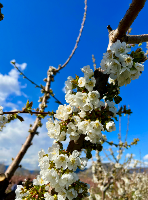 640-20260223-103148-699c9d14659ad