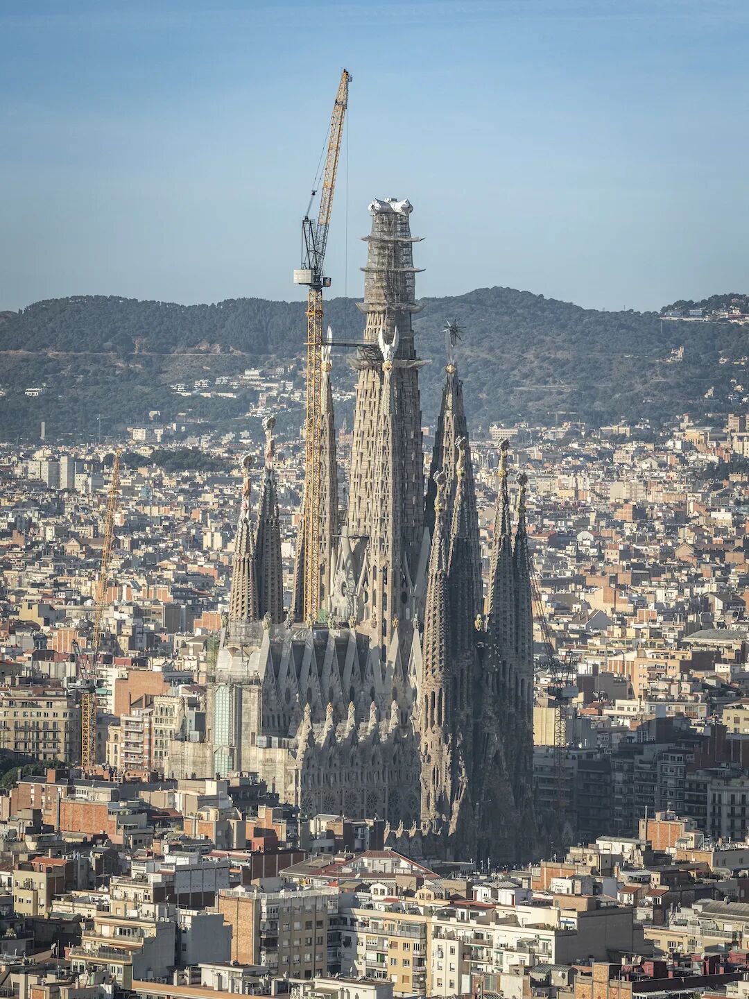 640-20260225-110011-699f46bbe4d5c 640-20260225-110011-699f46bbe4d5c