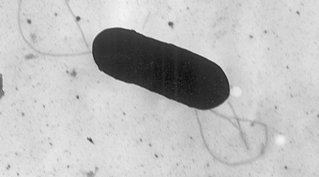 640-20260227-115801-69a1f7491637f