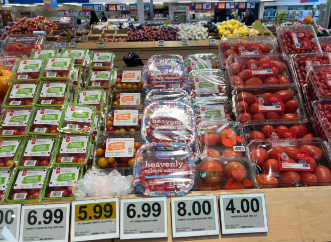 6980fd59b46a9-20260202-132433-69811611111b5