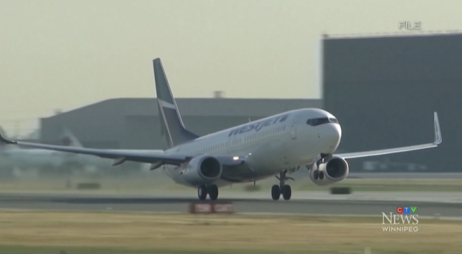 6993238826705-20260216-084121-699348b149008 6993238826705-20260216-084121-699348b149008