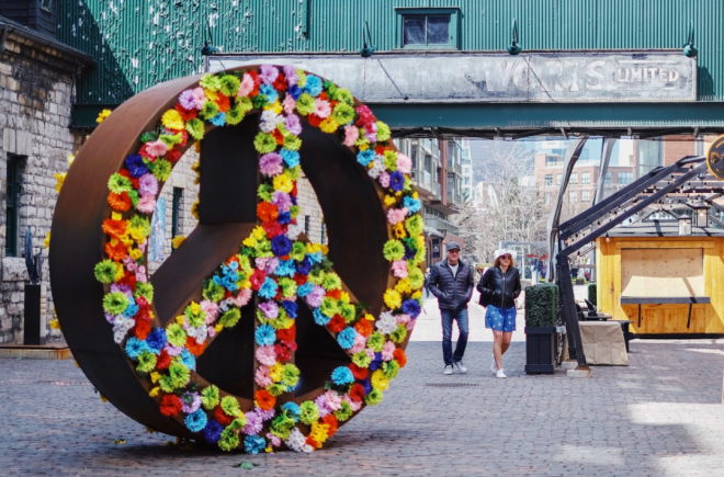 69946123765c7-20260217-103203-6994b4231add6 69946123765c7-20260217-103203-6994b4231add6