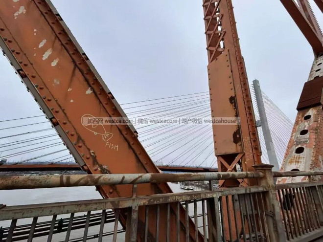 69947d446334c-20260217-102115-6994b19b31cb9