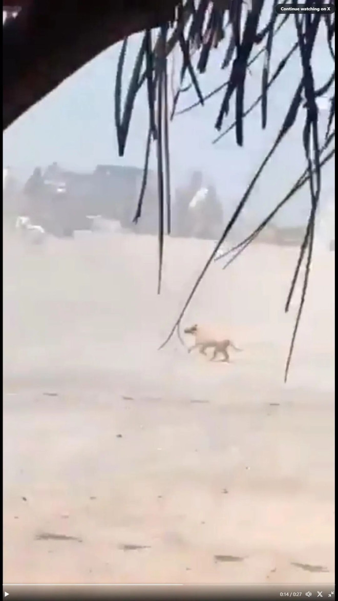 699c7591a6b12-20260223-101613-699c996d3c7b1