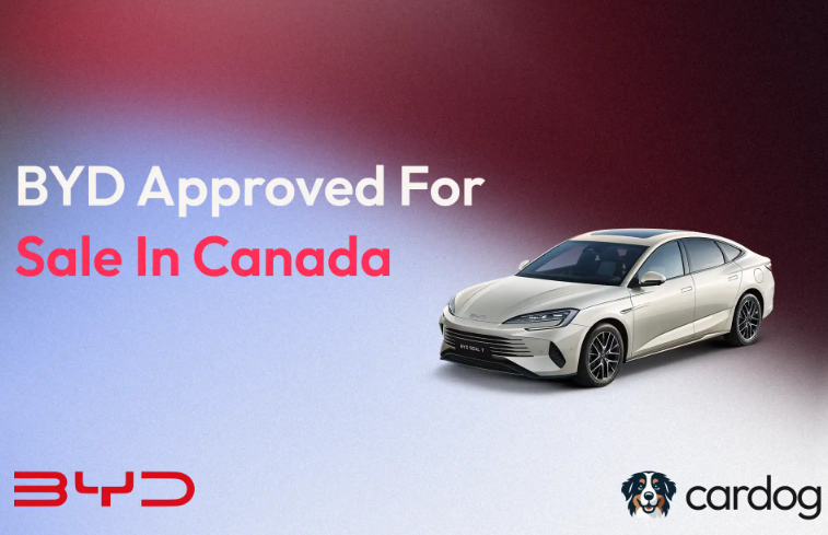 BYD-CARDOG-20260203-090007-6982299726b4b