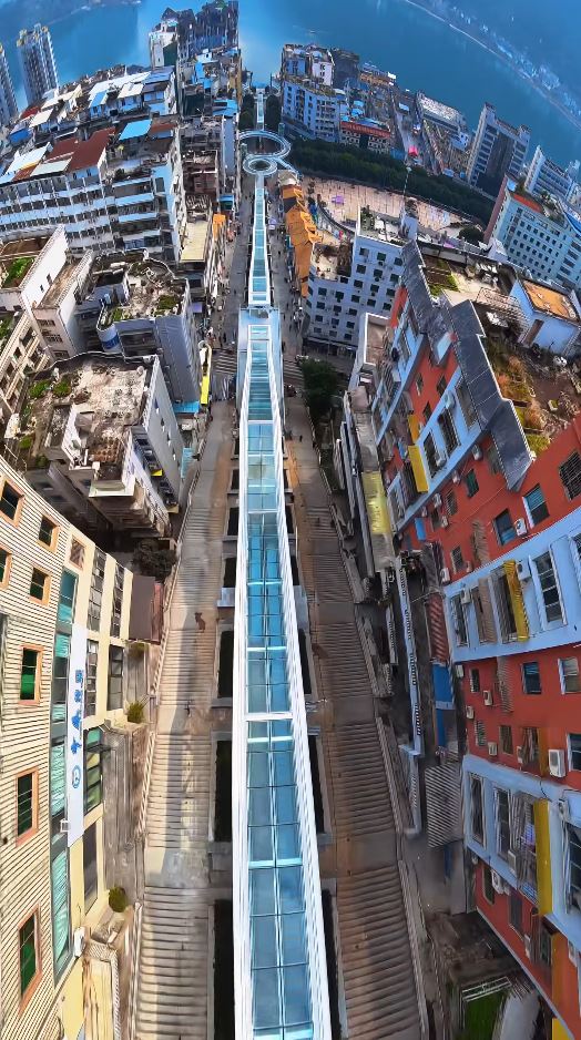 a_15-20260212-093409-698e0f1116780