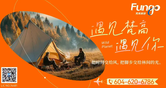 f828f686e744fd75616300eae60ae0ae-20260206-172617-698694b9c2381