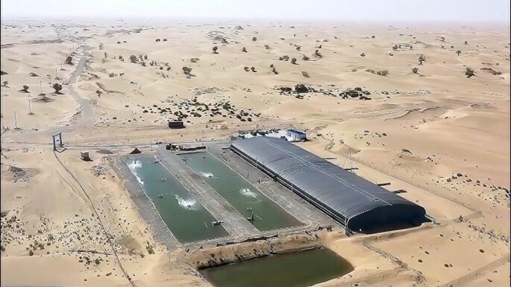 hq720-18-20260206-110726-69863bee75147