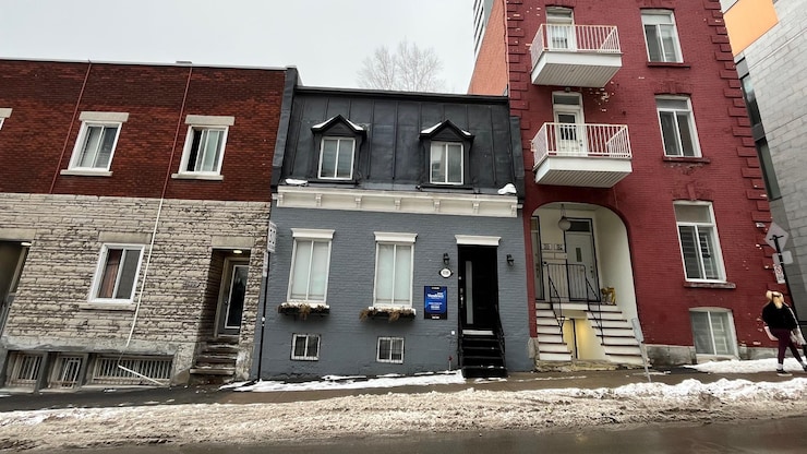 stella-77738-20260222-102856-699b4ae81b7dd stella-77738-20260222-102856-699b4ae81b7dd