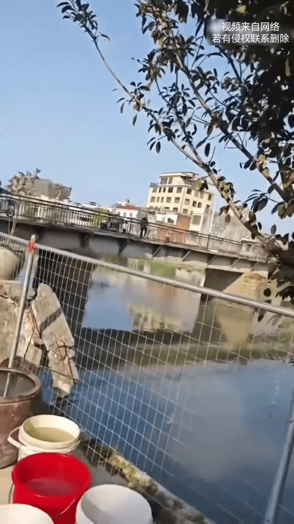 vlcsnap-2026-02-24-12h28m15s616-20260224-095301-699de57d6fe14