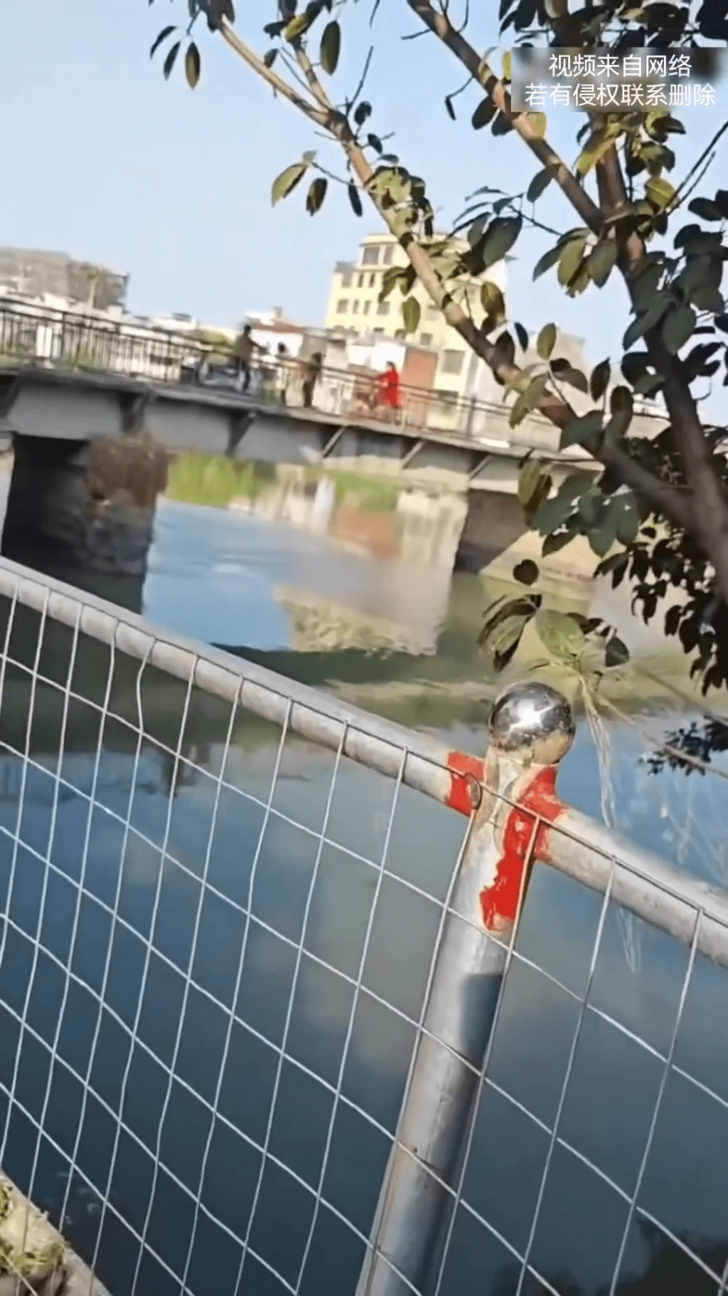 vlcsnap-2026-02-24-12h28m49s315-20260224-095301-699de57d95f4e