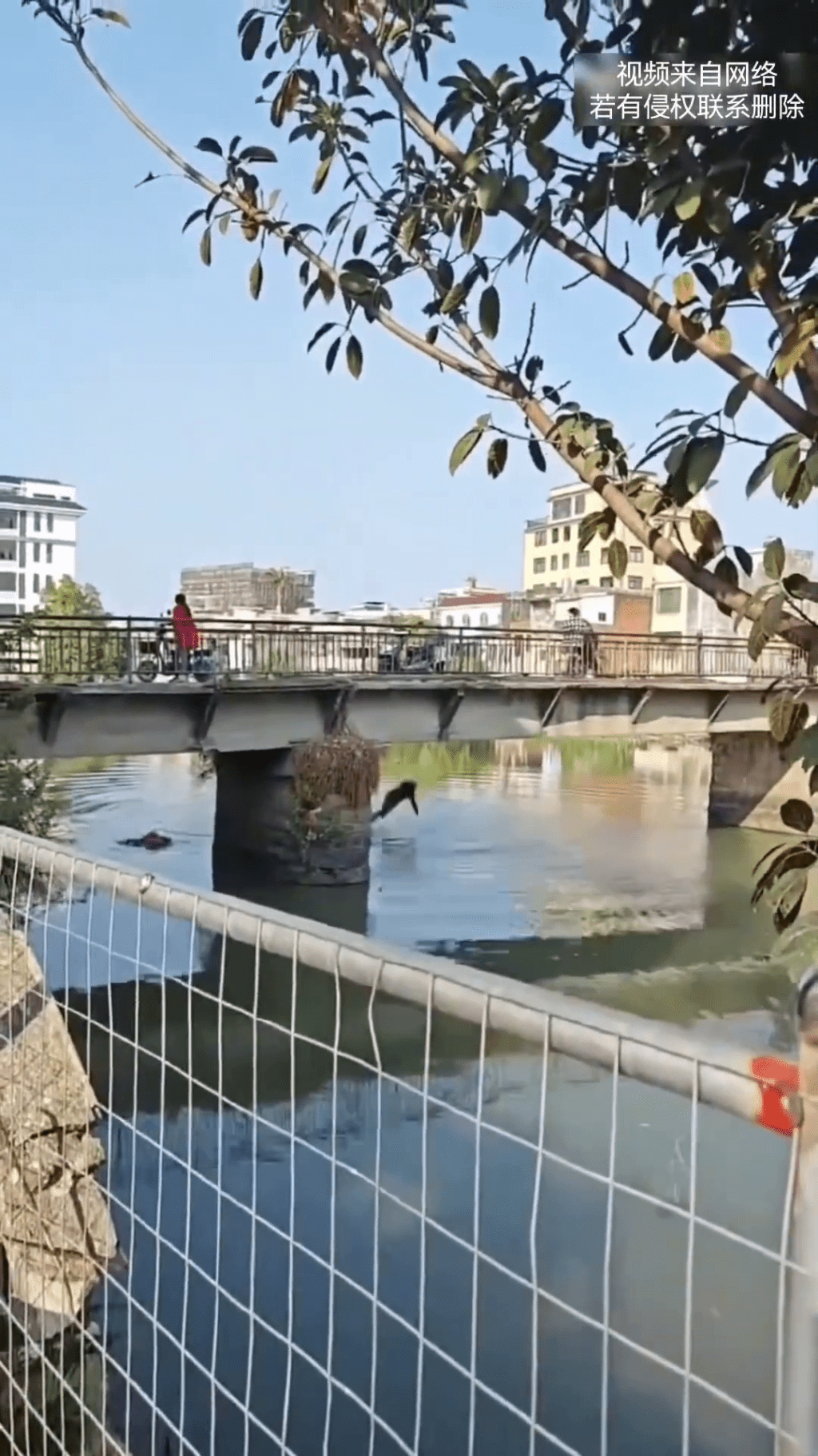 vlcsnap-2026-02-24-12h29m07s234-20260224-095301-699de57d9e3aa