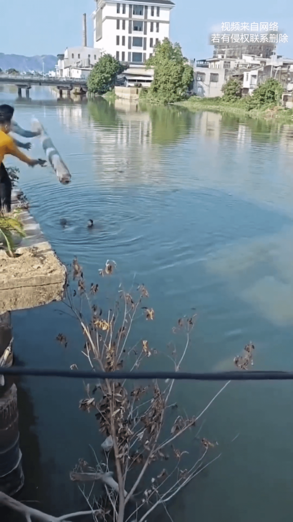 vlcsnap-2026-02-24-12h29m58s138-20260224-095303-699de57f176f0