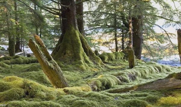 14ce36d3d539b6001c90862eaa84033ac75cb735.jpeg@f_auto-20260312-135200-69b32770aefa4