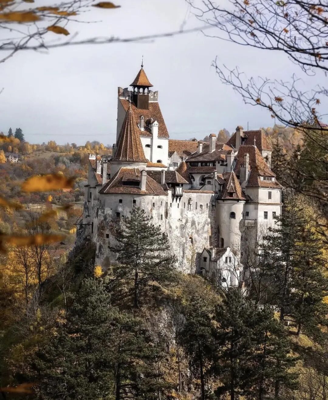 640-20260302-110425-69a5df39abcbe