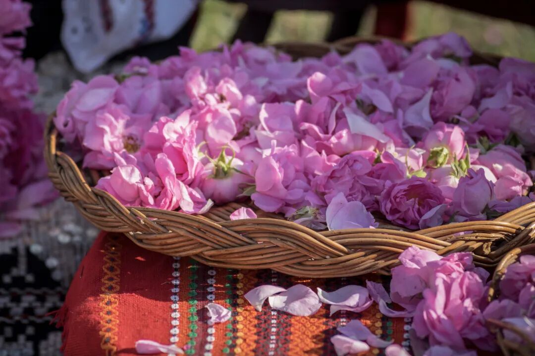 640-20260302-110431-69a5df3f9af23