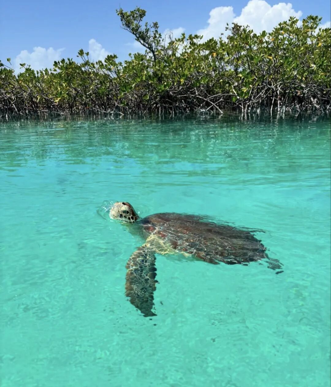 640-20260302-110942-69a5e07609d3d