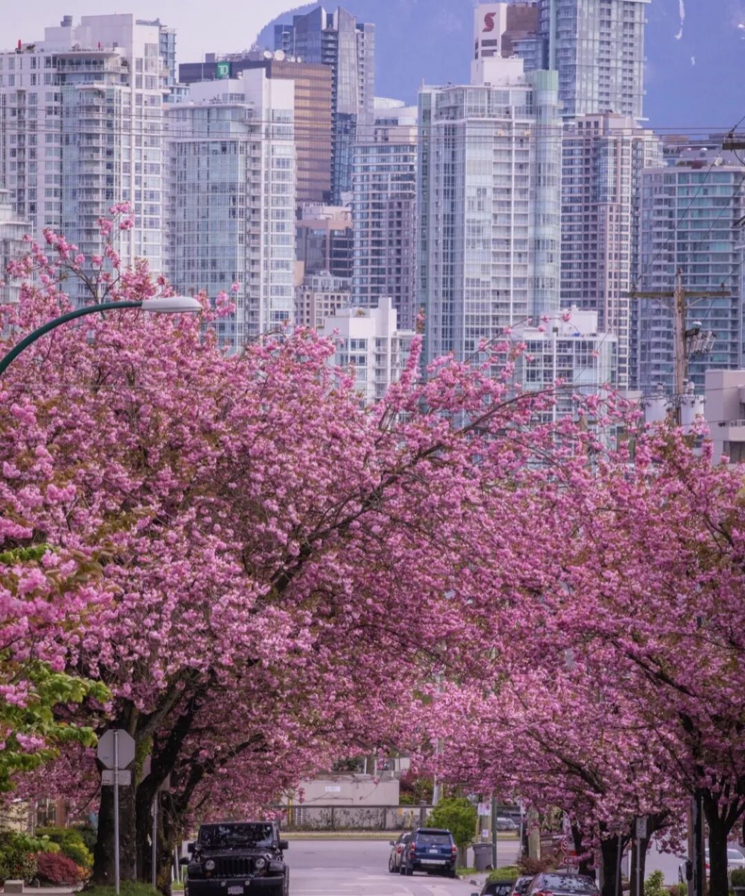 640-20260303-080700-69a7072449676