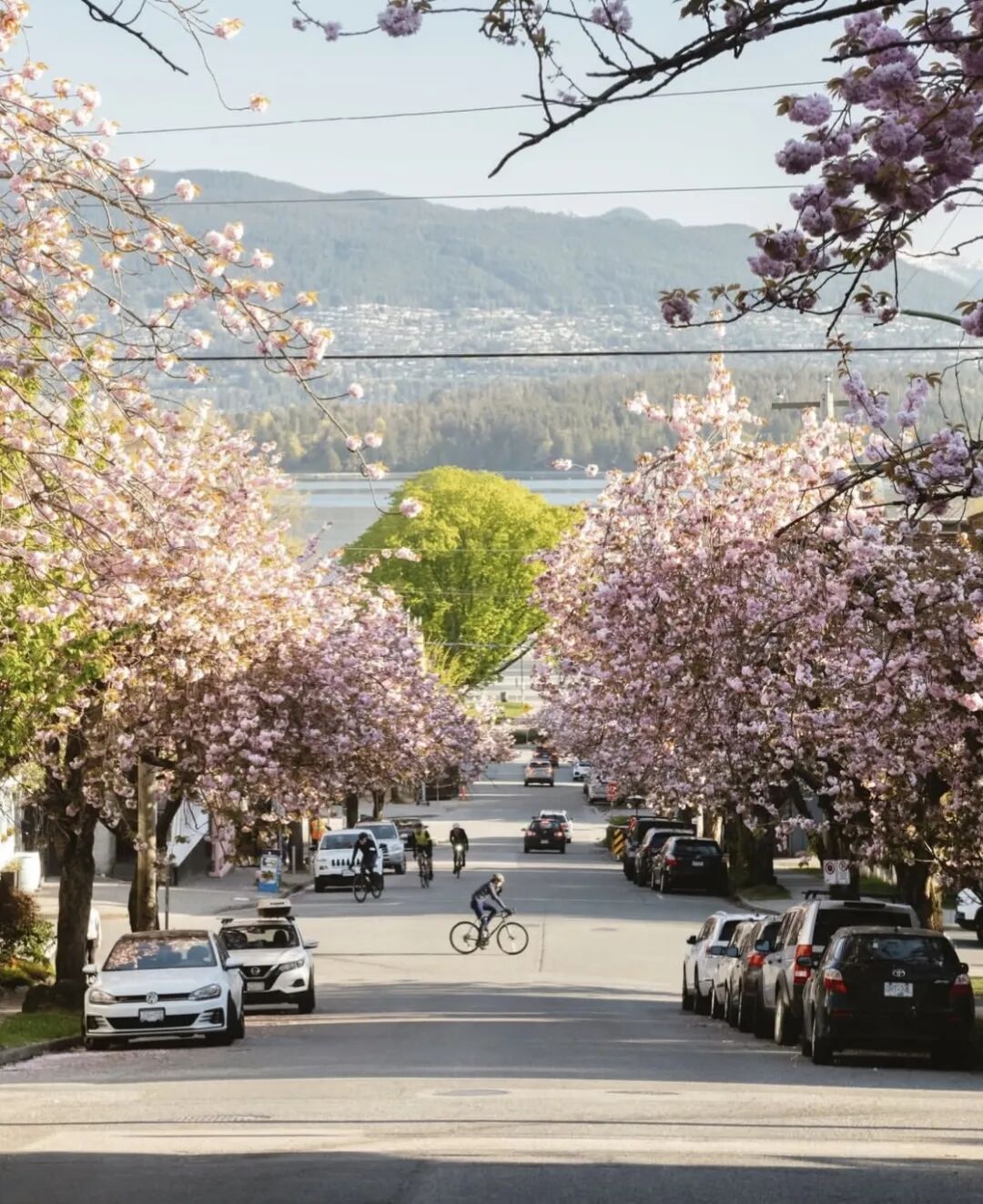 640-20260303-080709-69a7072de8c25