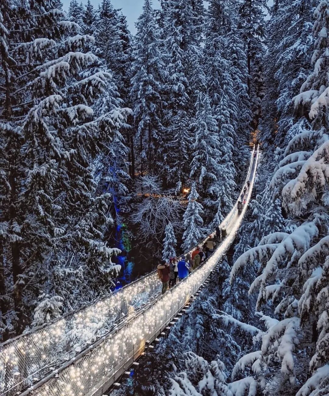 640-20260303-080711-69a7072fd2cdc