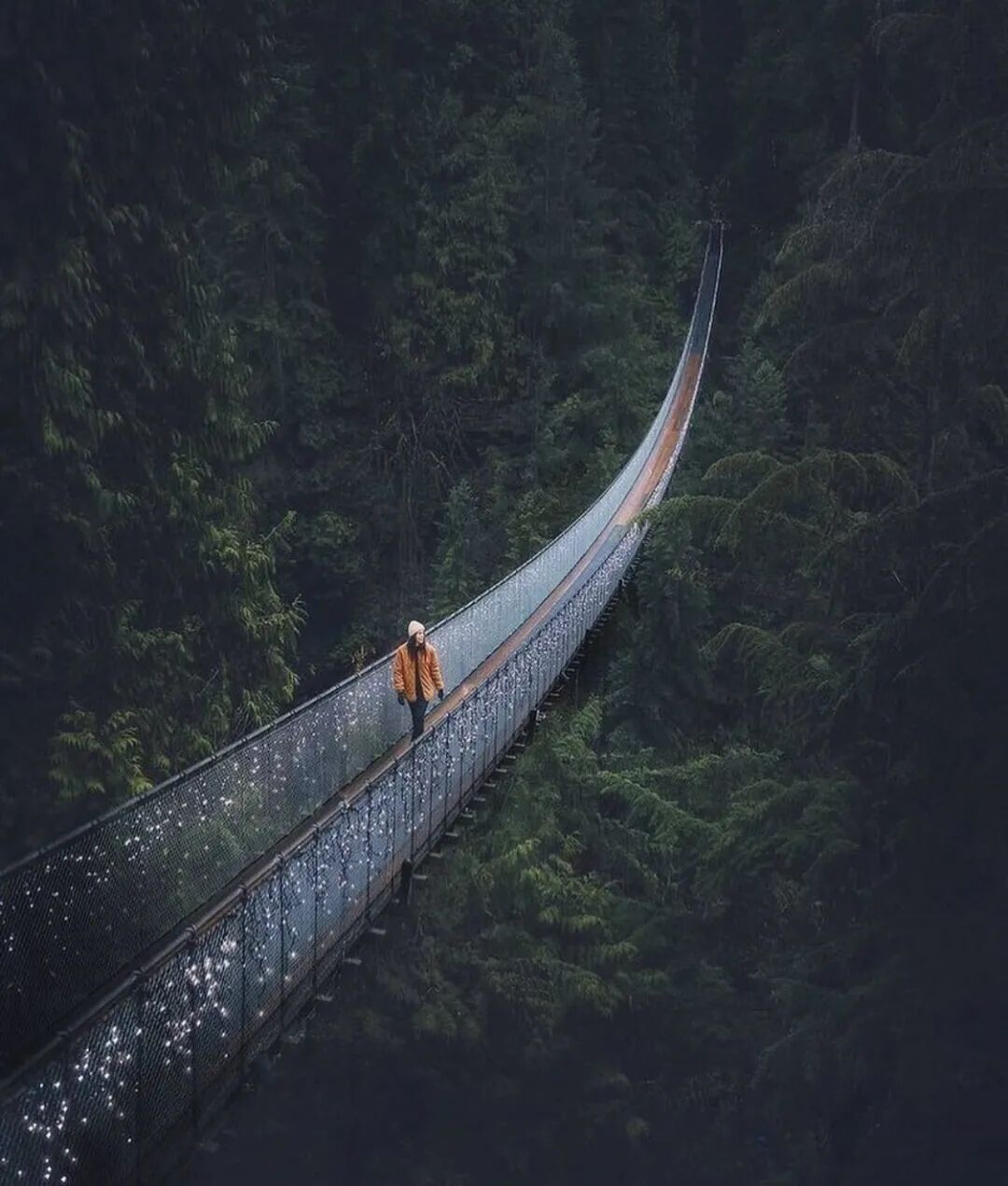 640-20260303-080712-69a7073069f82