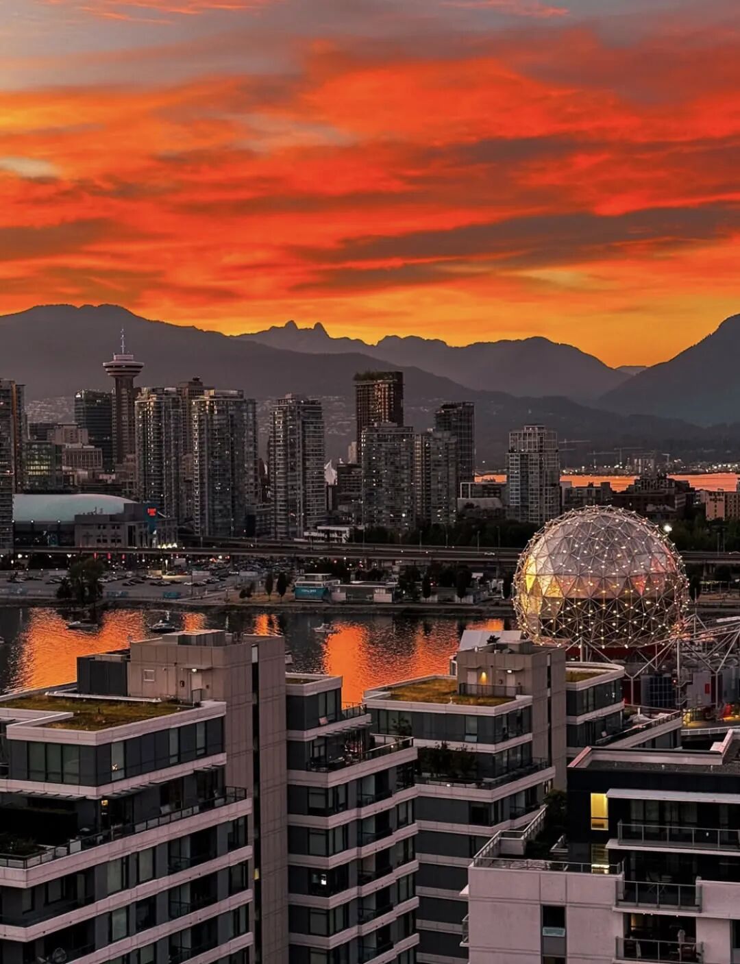 640-20260303-080716-69a707348e5cd