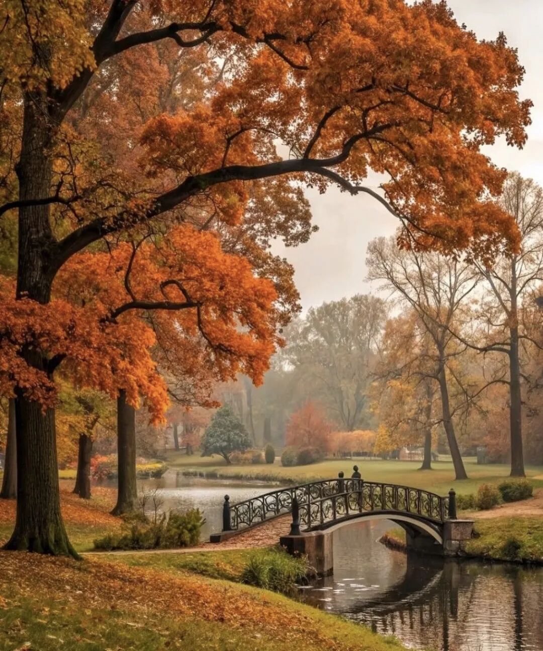 640-20260303-080717-69a70735b1f1d