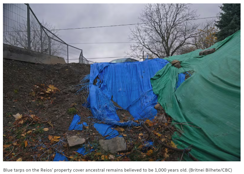 640-20260306-125054-69ab3e2ed8a0e