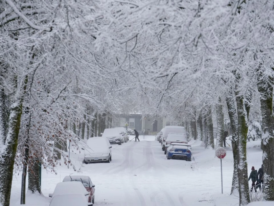 640-20260306-140301-69ab4f15104b6