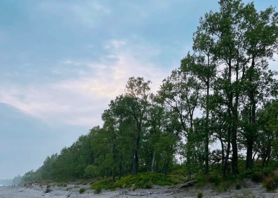 640-20260309-120339-69af198b4a4fc