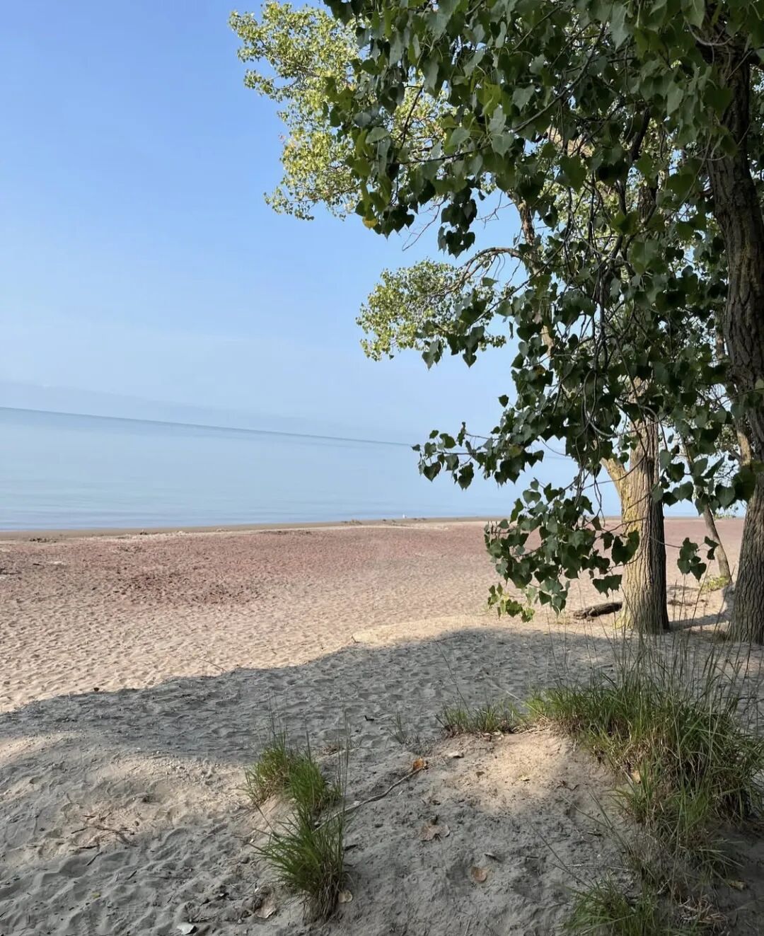 640-20260309-120339-69af198b56af4