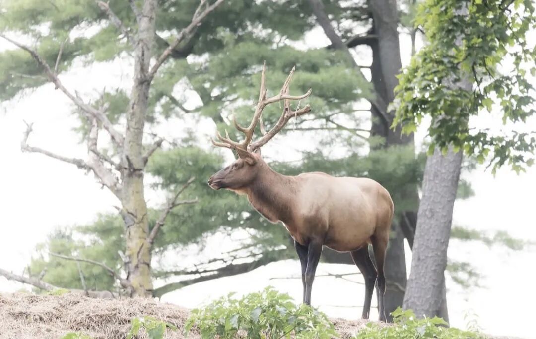 640-20260309-120344-69af1990a8287