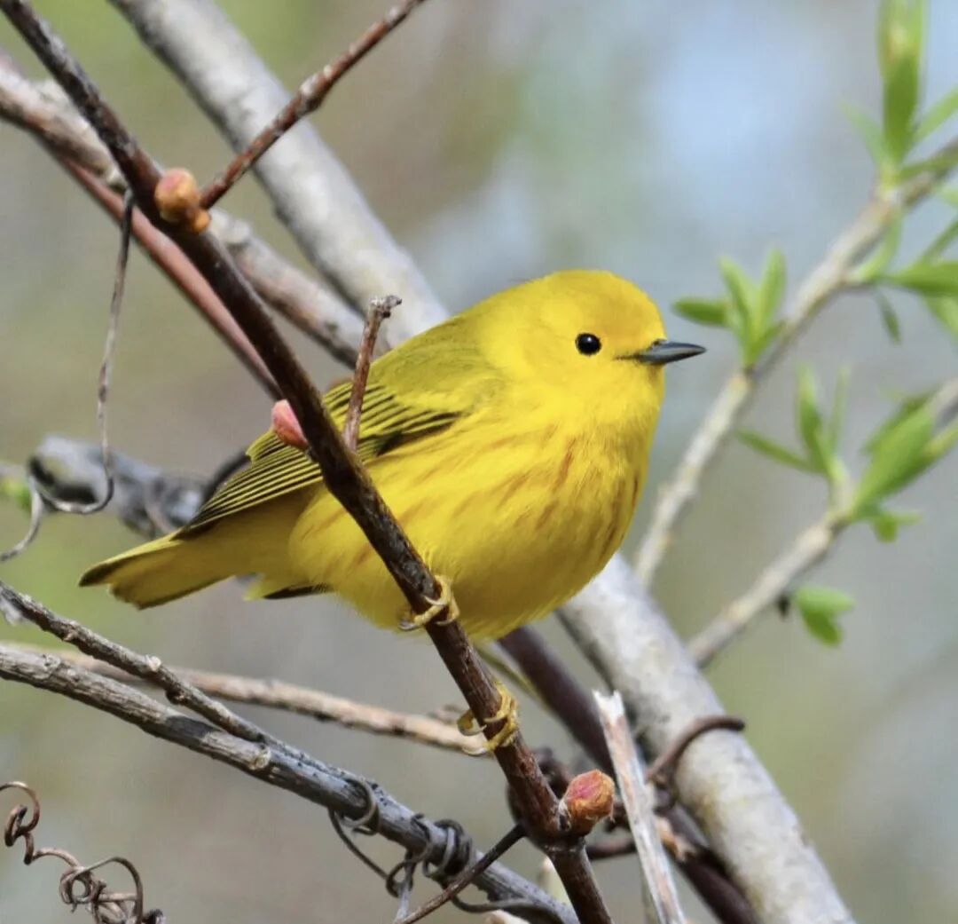 640-20260309-120345-69af199104442