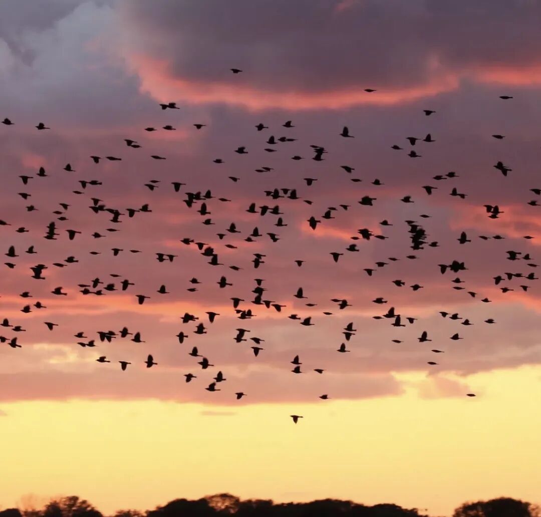 640-20260309-120345-69af199111674