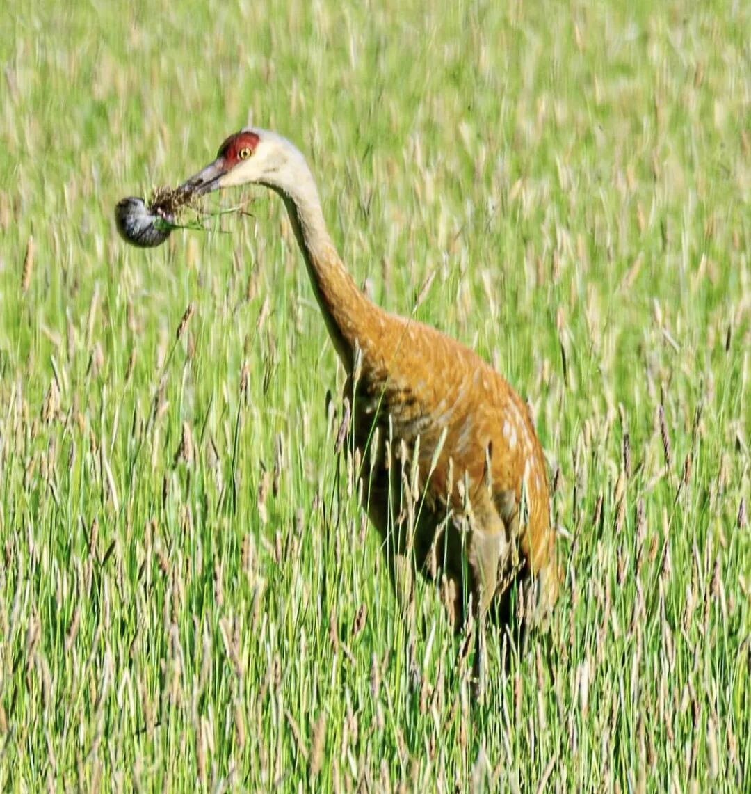 640-20260309-120348-69af1994adf60