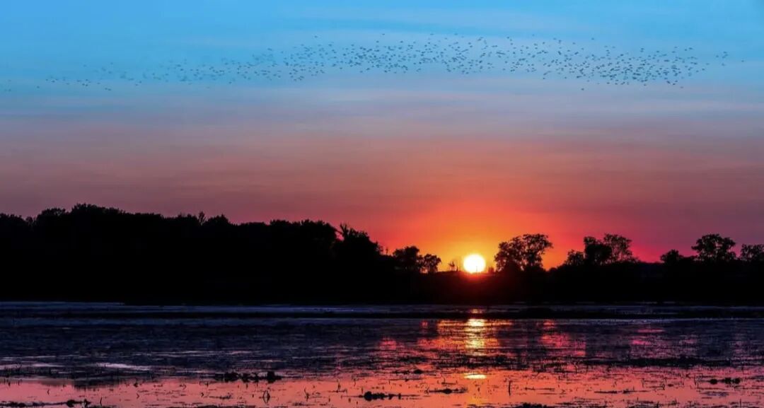 640-20260309-120351-69af199735b3f