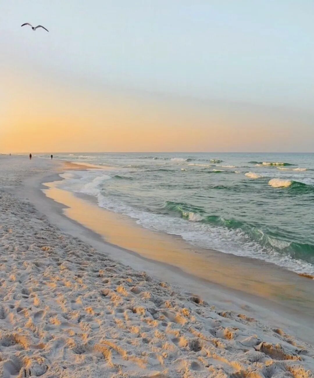 640-20260309-120351-69af1997a2fb0