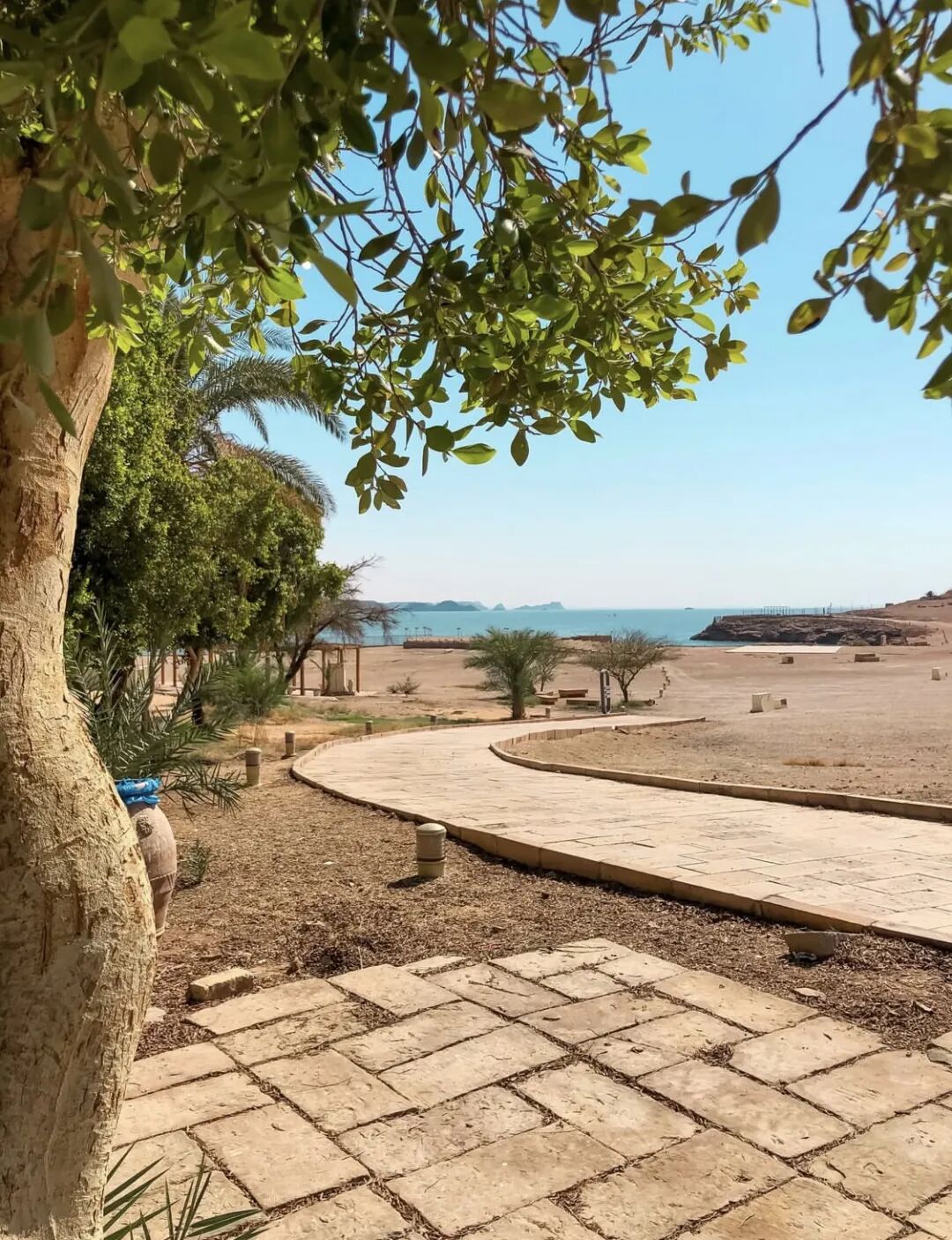 640-20260309-121023-69af1b1fbc808