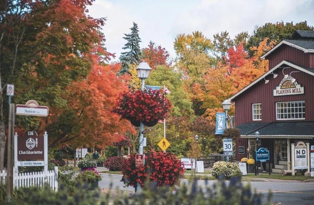 640-20260309-121324-69af1bd4249d2